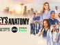 Grey's Anatomy TV show on ABC: season 21 ratings (canceled or renewed for season 22?)