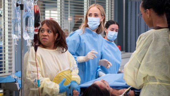 Grey's Anatomy TV Show on ABC: canceled or renewed?