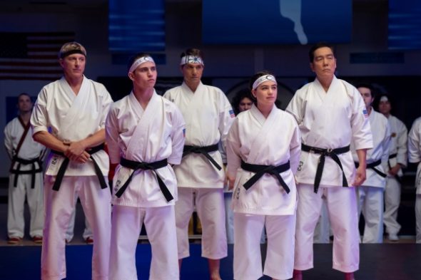 Cobra Kai TV show on Netflix: canceled or renewed?