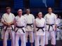 Cobra Kai TV show on Netflix: canceled or renewed?