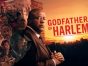 Godfather of Harlem TV show on MGM+: canceled or renewed?