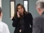 Law & Order: Special Victims Unit TV Show on NBC: canceled or renewed?