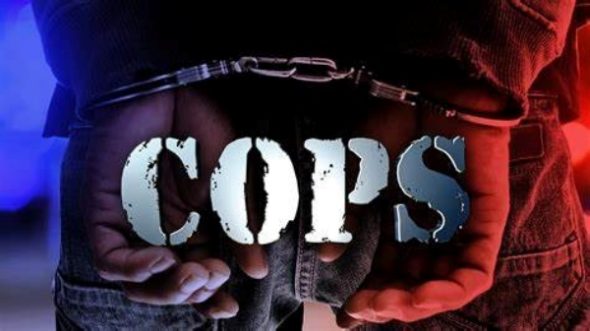 Cops TV Show on FOX Nation: canceled or renewed?