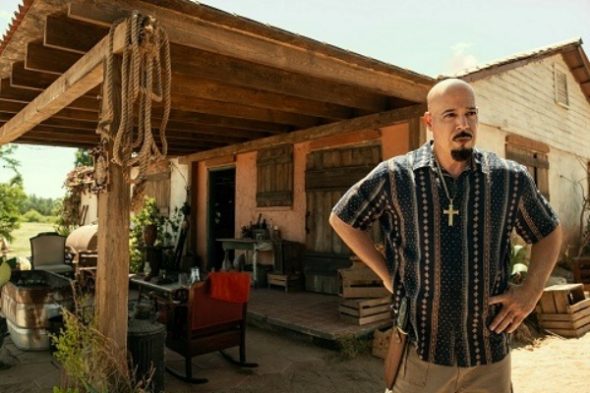 BMF TV show on Starz: canceled or renewed?