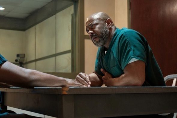 BMF TV show on Starz: canceled or renewed?