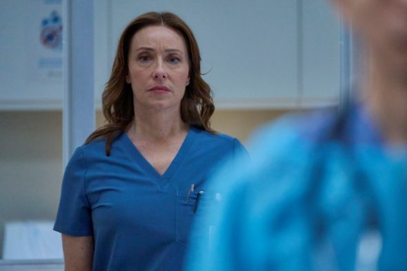 Doc TV Show on FOX: canceled or renewed?