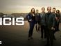NCIS TV show on CBS: season 23 ratings (canceled or renewed for season 24?)
