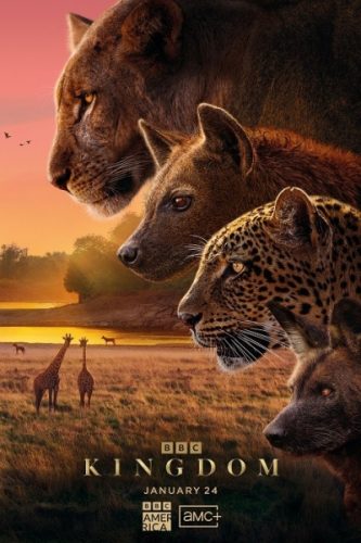 Kingdom TV show on BBC America and AMC+: canceled or renewed?