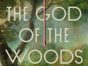 The God of the Woods TV Show on Netflix: canceled or renewed?