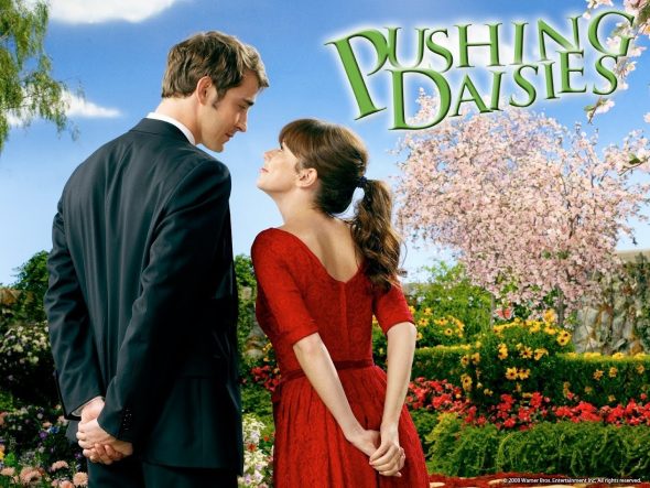 Pushing Daisies TV show on ABC: (canceled or renewed?)