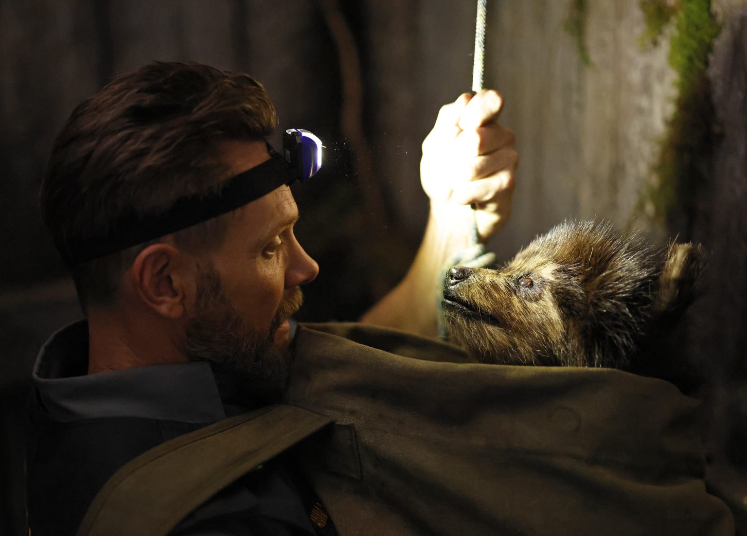 Animal Control: Season Five; Early 2026-27 Renewal Set for FOX Comedy ...