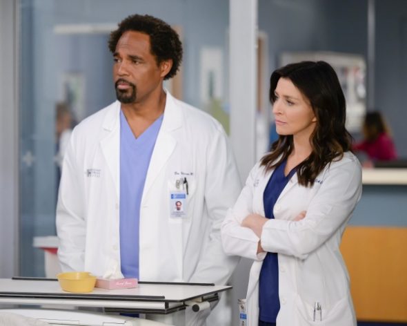 Grey's Anatomy TV Show on ABC: canceled or renewed?