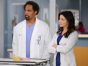 Grey's Anatomy TV Show on ABC: canceled or renewed?