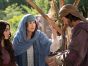 The Faithful TV Show on FOX: canceled or renewed?