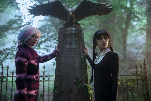 Wednesday TV Show on Netflix: canceled or renewed?