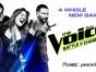 The Voice TV show on NBC: season 29 ratings (canceled or renewed for season 31?)