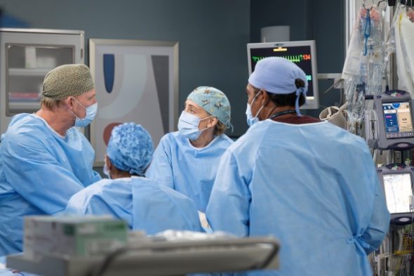 Grey's Anatomy TV Show on ABC: canceled or renewed?