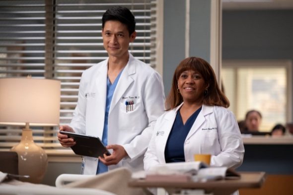 Grey's Anatomy TV Show on ABC: canceled or renewed?
