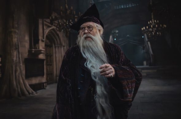 Harry Potter TV Show on HBO: canceled or renewed?