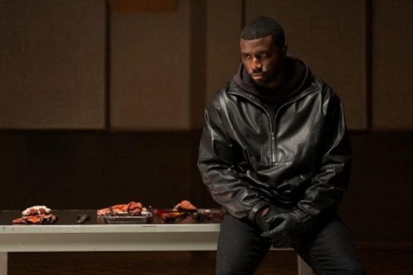 Nemesis TV Show on Netflix: canceled or renewed?