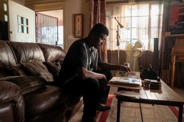 Nemesis TV Show on Netflix: canceled or renewed?