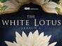 The White Lotus TV show on HBO: canceled or renewed?