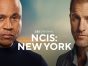 NCIS: New Yprk TV Show on CBS: canceled or renewed?