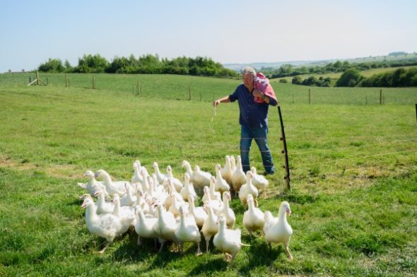 Clarkson's Farm TV Show on Prime Video: canceled or renewed?