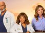 Grey's Anatomy TV Show on ABC: canceled or renewed?