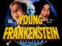 Very Young Frankenstein TV Show on FX: canceled or renewed?