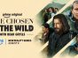The Chosen in the Wild with Bear Grylls TV Show on Prime Video: canceled or renewed?
