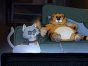 Alley Cats TV Show on Netflix: canceled or renewed?