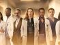 Doc TV Show on FOX: canceled or renewed?