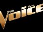 The Voice TV Show on NBC: canceled or renewed?