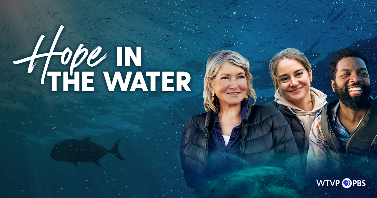 Hope in the Water: Season Two; PBS Announces Renewal of Nature Docuseries – canceled + renewed TV shows, ratings Hope in the Water: Season Two; PBS Announces Renewal of Nature Docuseries – canceled + renewed TV shows, ratings