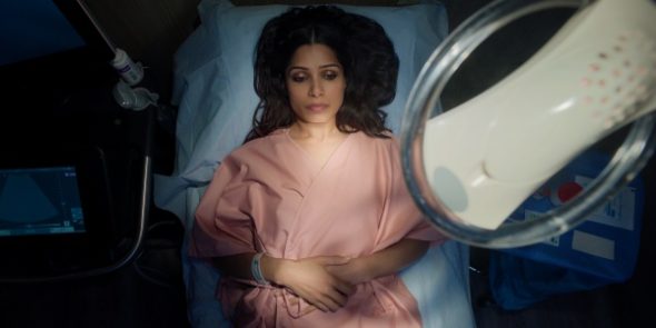 Unaccustomed Earth TV Show on Netflix: canceled or renewed?