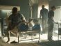The Walking Dead: Daryl Dixon TV show on AMC and AMC+: canceled or renewed?